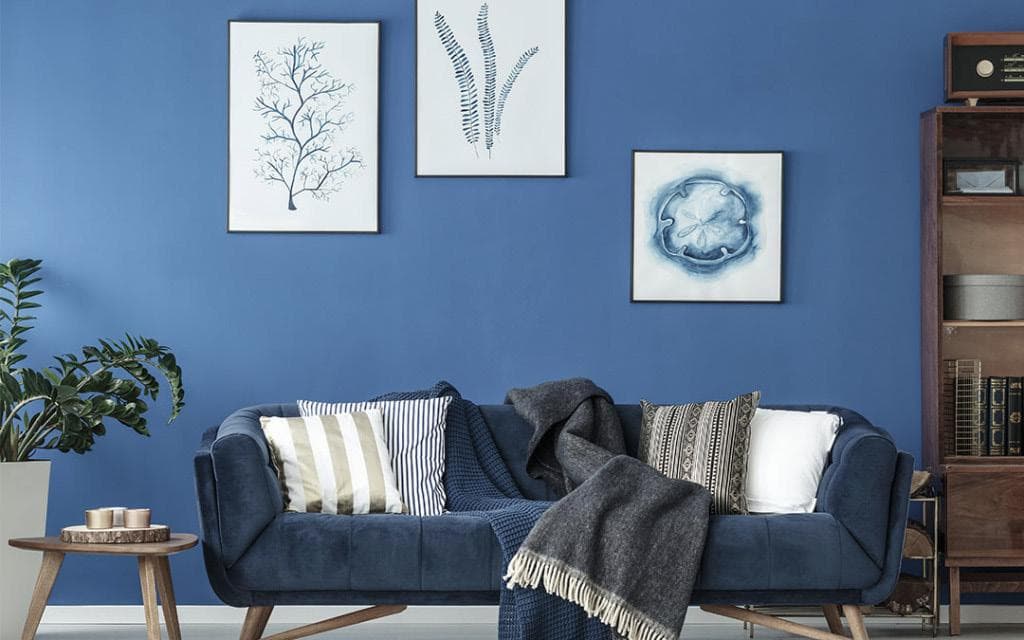 Domestic House Cleaning